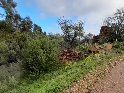 Land with ruin, Santa Catarina da Fonte do Bispo, Tavira, Algarve
