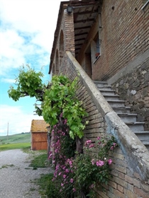 Colonica/Casale in vendita a Montalcino, da ristrutturare - Rif. V 11116 rustico Montalcino