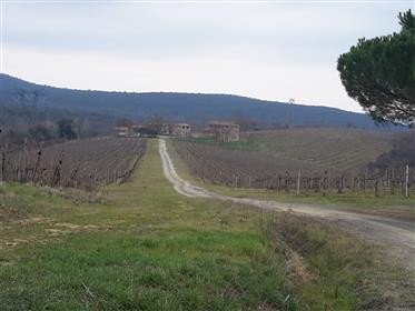 V 62018 fattoria Toscana