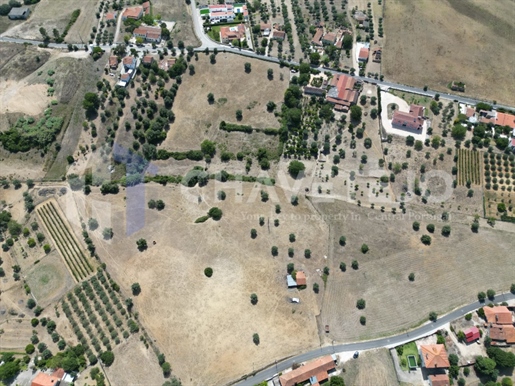 Quinta com 5 hectares de terreno para construir a sua casa de sonho perto da cidade de Tomar.