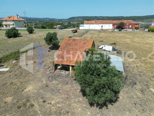 Farm with five hectares of land for sale near the city of Tomar.