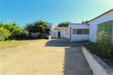 Algarve - Boliqueime - Maison a Patã de Cima de 4 chambres et beau terrain avec arbres fruitiers 