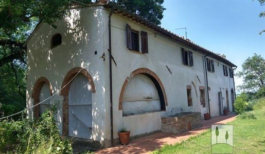 Former farmhouse with land for sale on the Pontedera hills, Tuscany - Real Estate Agency