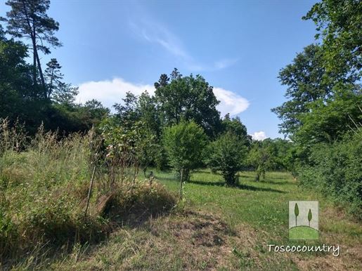 Former farmhouse with land for sale on the Pontedera hills, Tuscany - Real Estate Agency