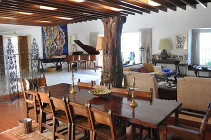 The Property of the famous Artist Reuven Rubin