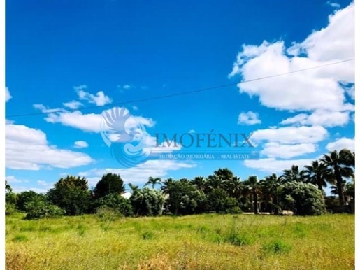 Excellent rustic land with 19,000 m2 located in Poço das Canas, Guia, Albufeira