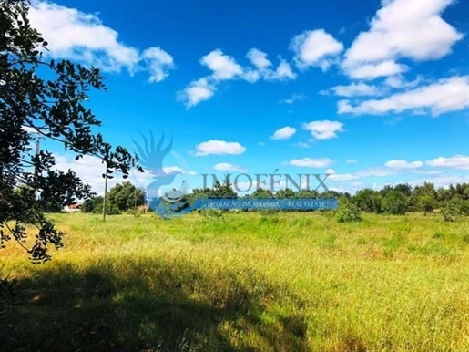 קרקע כפרית מעולה עם 19,000 מ"ר הממוקמת בפוקו דאס קאנאס, גויה, אלבופיירה