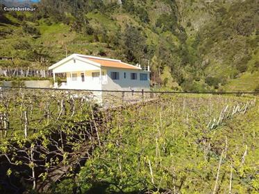 Maravilhosa quintinha T3 com 5000m2 de vinha em São Vicente
