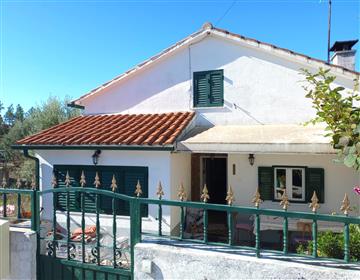 Quintinha in central Portugal 1238m2, 5-bed country house and 2nd (urban)house
