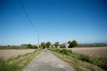Reduced!!  Farmhouse with 3 hectare of land.