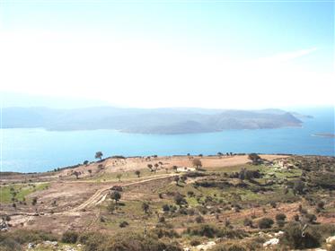 40 hectares Samos Klima
