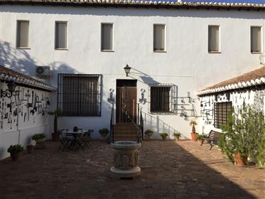 Spektakularna poljoprivredna i rekreacijska seoska kuća u Ciudad Realu